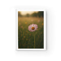 Floral Meadow Journal — Daisy Photography Ruled Notebook for Writing & Reflection