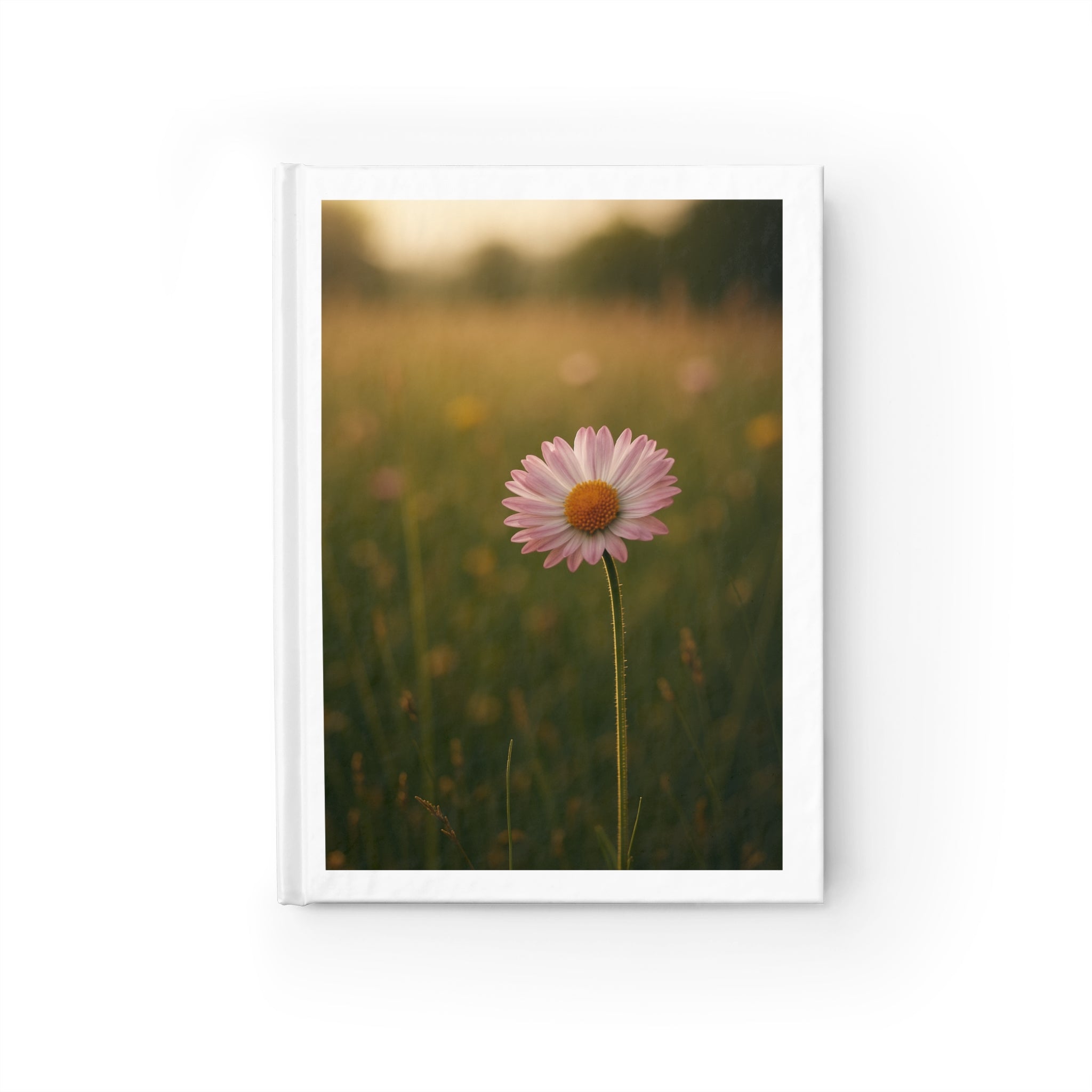 Floral Meadow Journal — Daisy Photography Ruled Notebook for Writing & Reflection